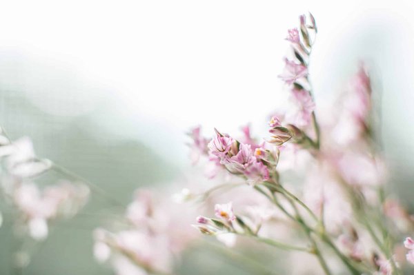 What Are the Best Ways to Incorporate Pastel Colors into Your Spring Office Wardrobe?