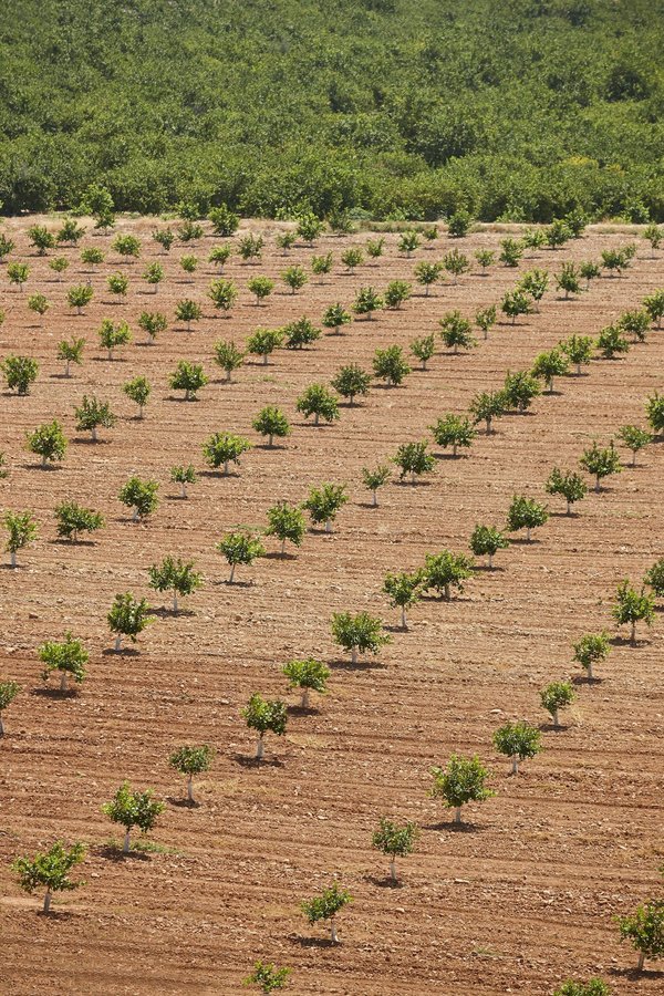 Can Urban Vertical Farming Meet the Food Demand of Growing Populations?